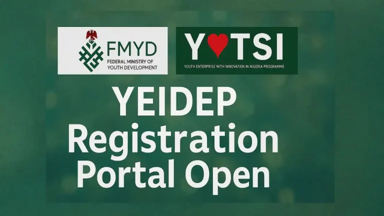 YEIDEP Disbursement Pending as government is yet to authorise Banks 1 How Apply for YEIDEP in Nigeria
