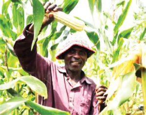 FG’s Agricultural Curriculum to Boost Food Security and Youth Interest in Agritech 2 Agricultural Curriculum